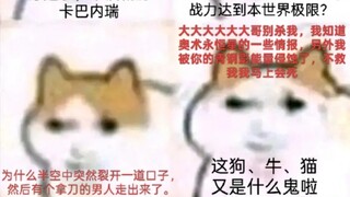 Magnetic Field Multiverse: Cat and Dragon in Bad Luck