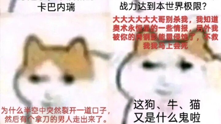 磁场多元宇宙•猫龙倒大霉