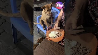 Công chúa bé bỏng của bà 😂 #Shorts #Yeulu #Yeuluofficial