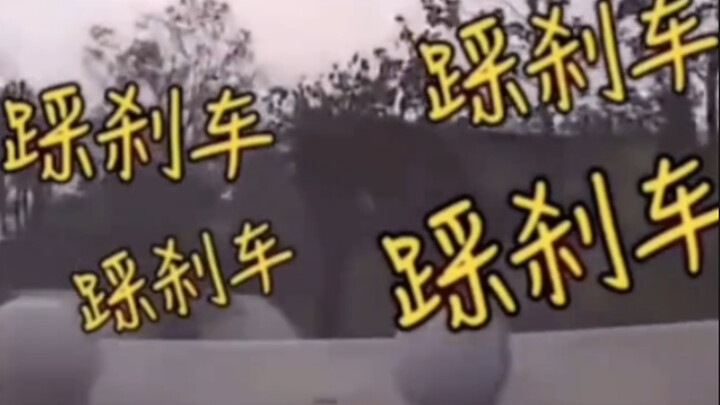 Pengemudi wanita - Tidak menginjak rem, kumpulan adegan, suami di kursi penumpang berteriak marah, b