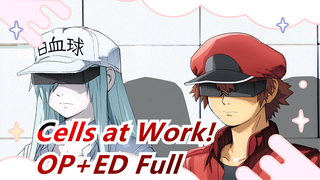 [Cells at Work!]OP+ED Full/POLYSICS_B