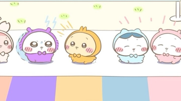 จิอิคาวะ อุซากิ จิอิ ฮาจิ ที่รัก!