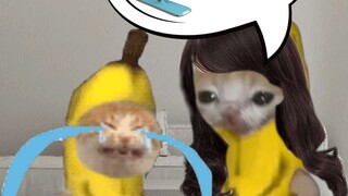 Banana Cat menginginkan mainan, tetapi harus melakukan pekerjaan rumah untuk mendapatkan uang guna m