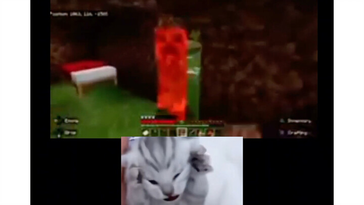 A Creeper broke into your house, but chipichipi chapachapa!