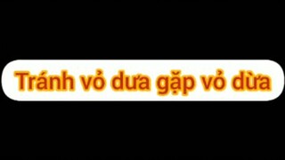 Tránh vỏ dưa gặp vỏ dừa thế này :((