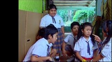 23 Monyet Cantik