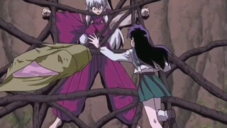 [ InuYasha ] A love story between dog and yew