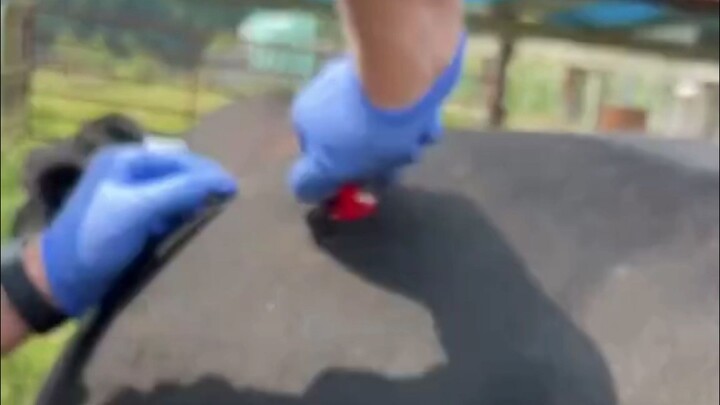 Tại sao bò sữa lại thải ra nhiều khí đến vậy?