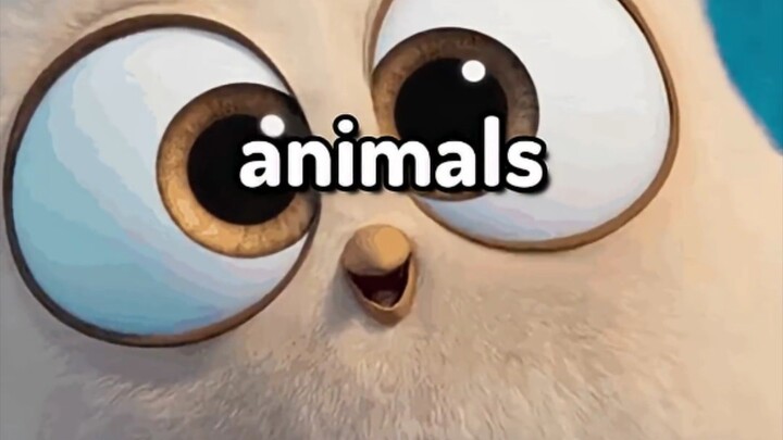 Least Cute Animals OAT.