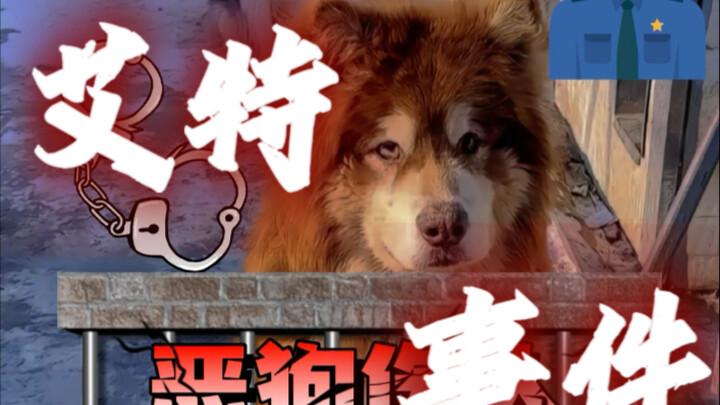Pan Hong was subjected to online bullying, Joyce Chen slammed Pan Hong, and Bei Shao fiercely rebuke