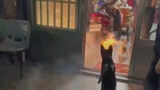 It's the New Year, and our home should be vibrant and full of energy!