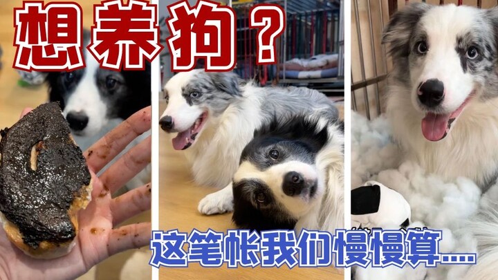 The cost of owning a dog depends on how much of a spendthrift it is~