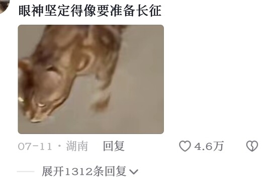 The cat in front: Nothing can stop my heart from heading home~ The cat behind: I’m going home to tak