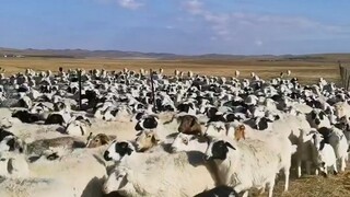 美好的一天又开始了