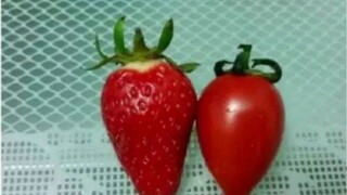 "Bitch! Why are you only polishing your own skin?"