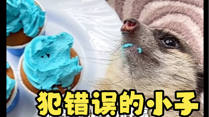 The Kid Who Made a Mistake