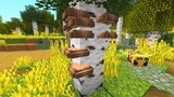 Wild Birch Forest Minecraft Biom! Minecraft Wild Update!