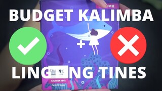 I replaced the generic kalimba tines with LINGTING Tines! | How i remove and replace kalimba keys