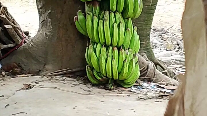 সুন্দর