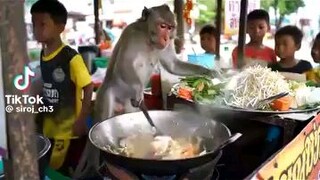 ลิง