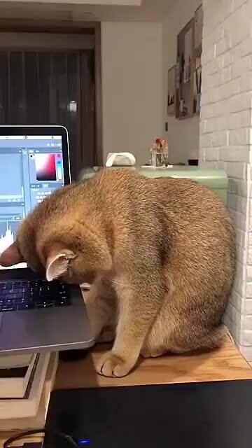 لا أزال أستطيع الكبد