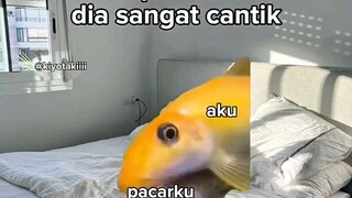 abisnya kamu cantik banget sih😬