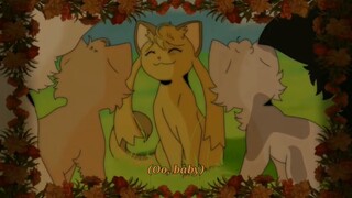 more than a woman - daisy pmv