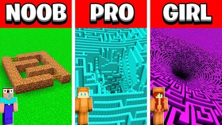 I Secretly Cheated using //PASTE to build INFINITE MINECRAFT MAZE in NOOB vs PRO vs GIRL...