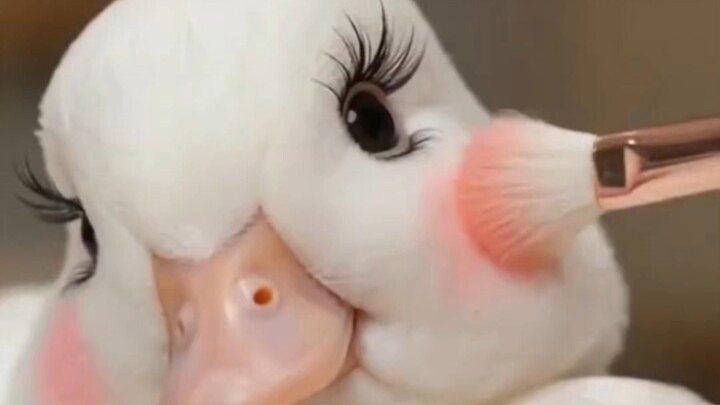 Bebek Kodak pertama kali menyadari pentingnya makeup