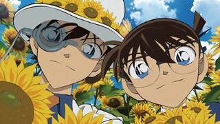 【The Detective: Conan】East of Eden