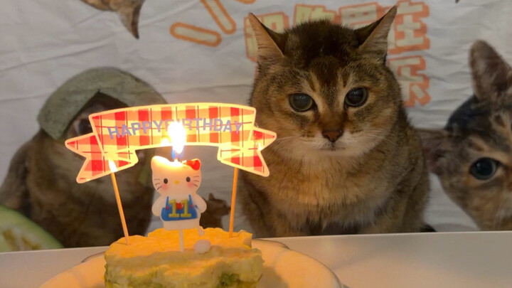 Happy birthday, Lao Mei!
