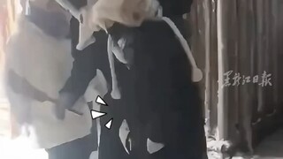 东北大哥客串“土匪绑架” 被小金豆瞬间逃脱 网友：这牢房所少有点草率了 #燃情冰雪季逐梦亚冬会