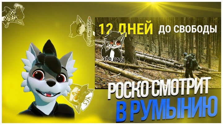 🐺 Роско смотрит Yar Life - Побег из Украины: Как мы шли 12 ДНЕЙ через горы, чтобы НЕ ПОПАСТЬ в ТЦК?