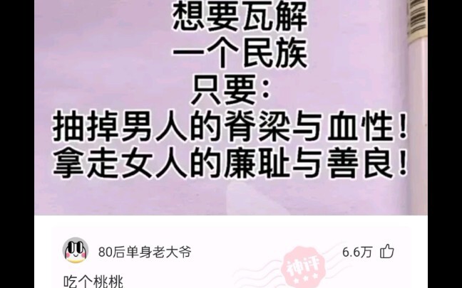 A Collection of Netizens’ Epic Replies 4.0