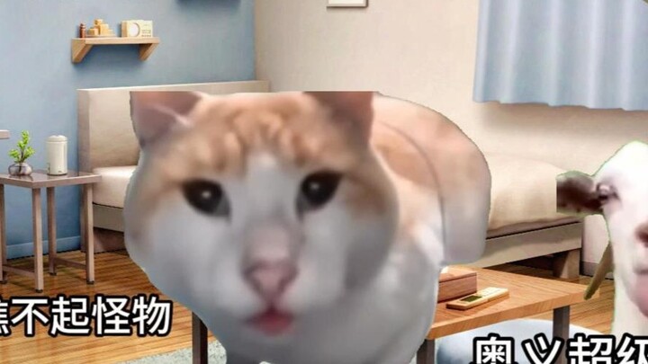 【Cat meme】A story about trying to be an MC blogger in elementary school and breaking into an unknown