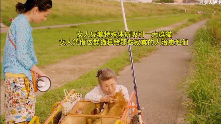 A woman attracts a large group of cats with her unique physique. Relying on these cats, she rents th