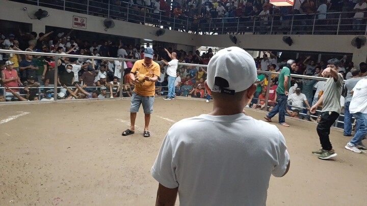 bulik gold in action late upload