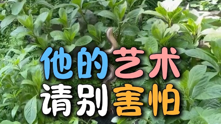 Nghệ thuật không phải lúc nào cũng dễ chịu, nhưng ngay từ cái nhìn đầu tiên, nó đã chinh phục thị gi