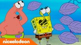 سبونج بوب | سبونج بوب يتحول إلى محار؟! | Nickelodeon Arabia
