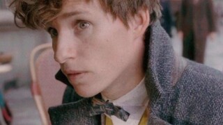 【Newt Scamander】Newt is a free wizard √