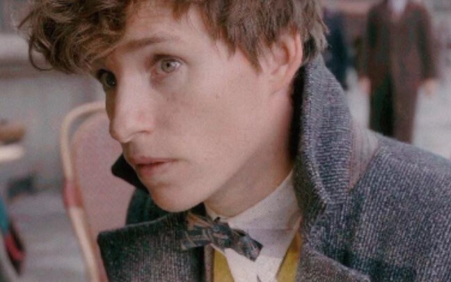 Newt Scamander】Newt adalah penyihir gratis