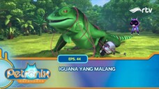 Petronix Defenders RTV: Iguana yang Malang (Episode 44)