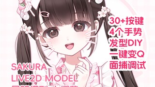 🌸小樱花🌸 全按键展示和面捕调试