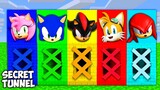 CHOOSE THE RIGHT SECRET TUNNEL OF SONIC IN MINECRAFT FUNNY ANIMATION SHADOW TAILS AMY ROSE KNUCKLES