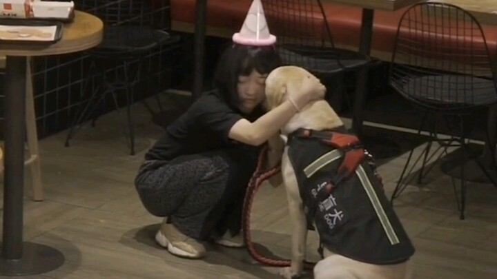 I'm so sad! Although I can't see the light, you are my light! Please understand and love our guide d