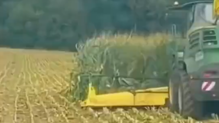 还是个大户人家哈