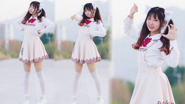 ลูกแมวขี้โมโหในจอแนวตั้งจะมีเจตนาร้ายอะไรได้ ฮึ่ม! [ชิวชิว]