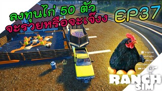 Ranch Simulator อัพเดท [ไทย] ลงทุนไก่ 50 ตัว จะรวยหรือจะเจ๊ง EP.37