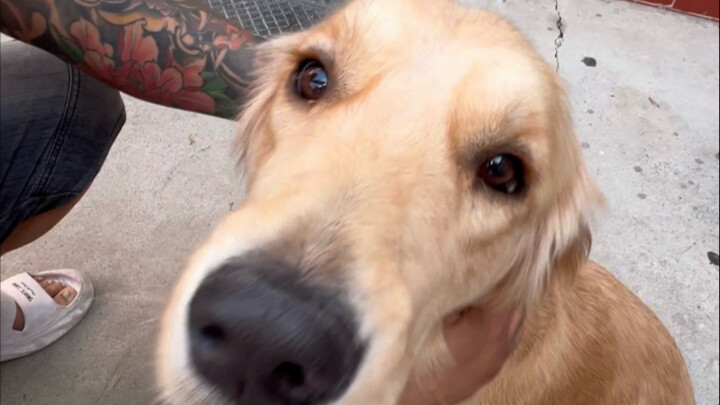 มาดูหนึ่งวันในชีวิตของสัตวแพทย์ประจำชนบทกันเถอะ!