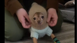 When you were five, your mother bought you a child's hat instead of an adult hat.